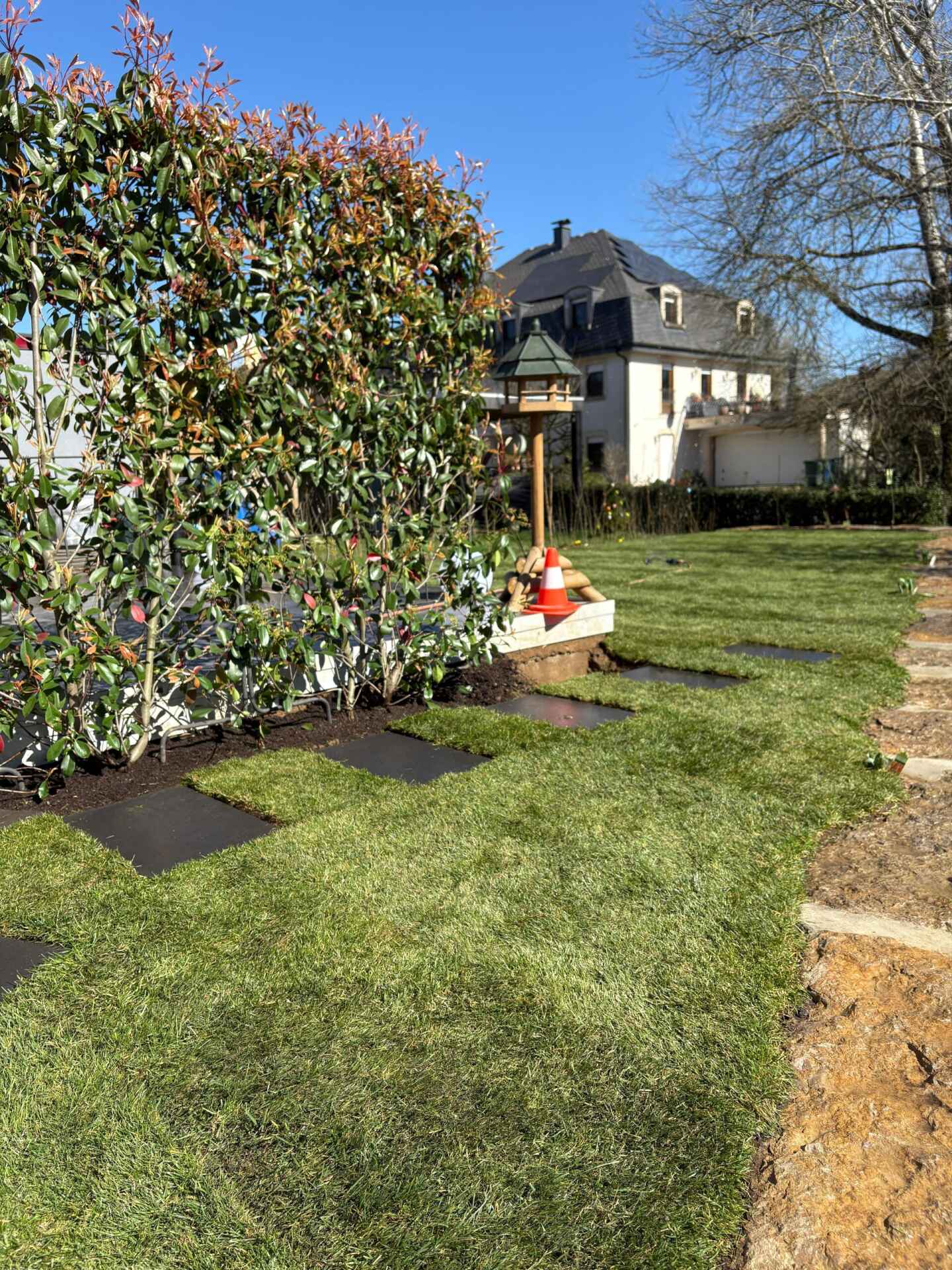 Landschaftsgestaltung in Luxembourg ville — Foto 5
